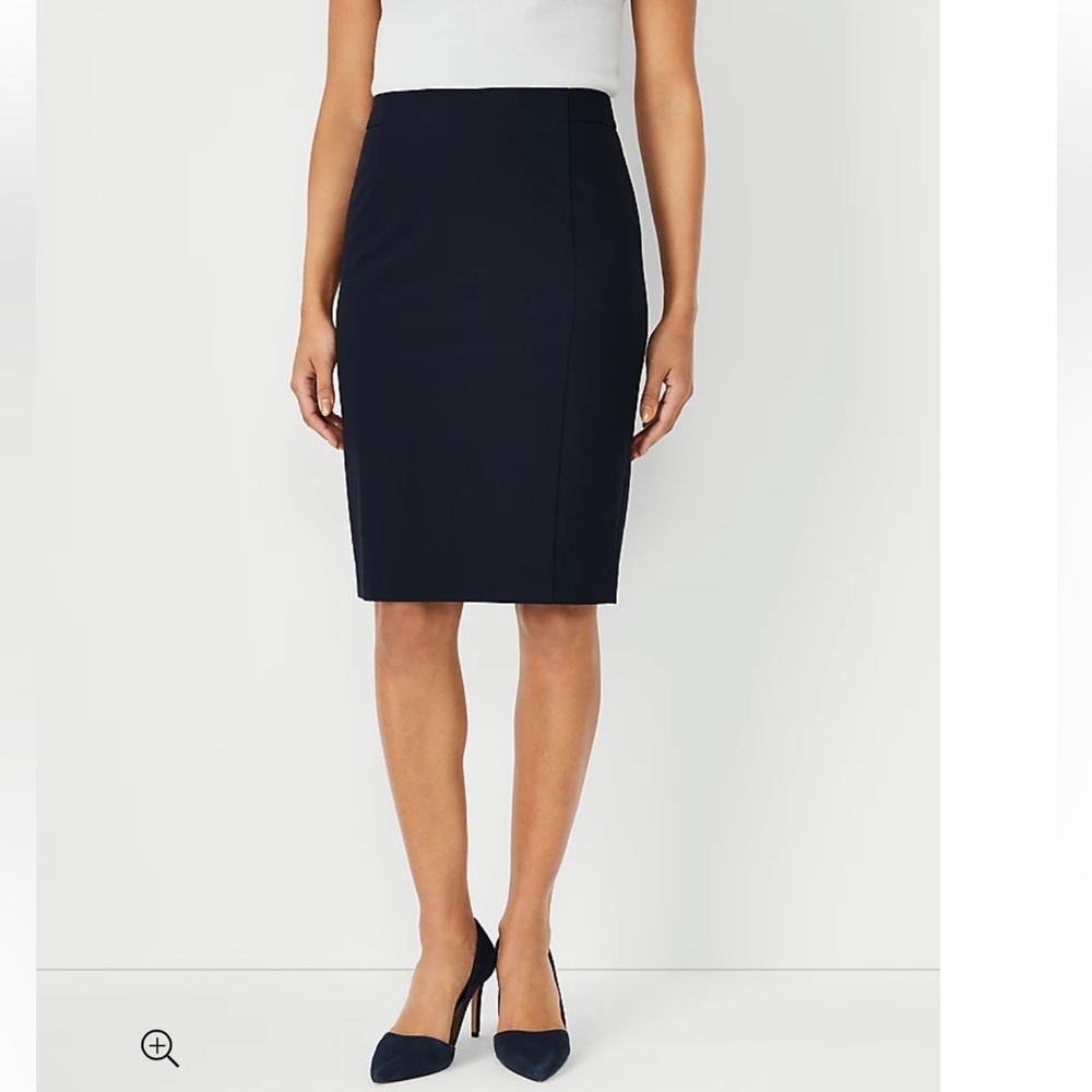 Ann Taylor Pencil Skirt (NWT)